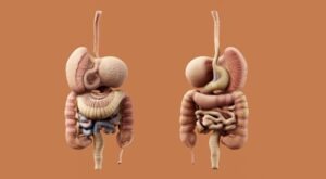 Top 5 Healthy Morning Habits to Keep Your Kidneys and Liver Clean