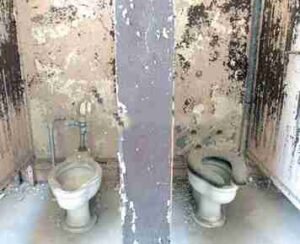 How Poor Sanitation is Affecting Students’ Health in Nigerian Schools