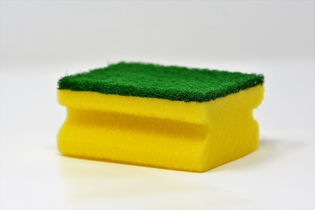 Bathing sponge for the body